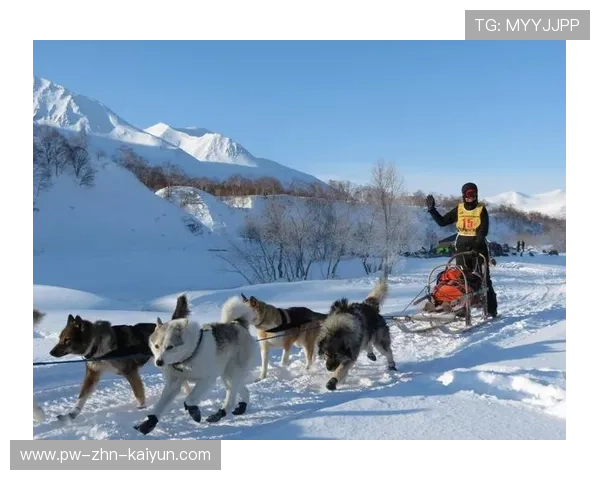 狗拉雪橇比赛，激情冬日运动体验，狗拉雪橇运动怎么说
